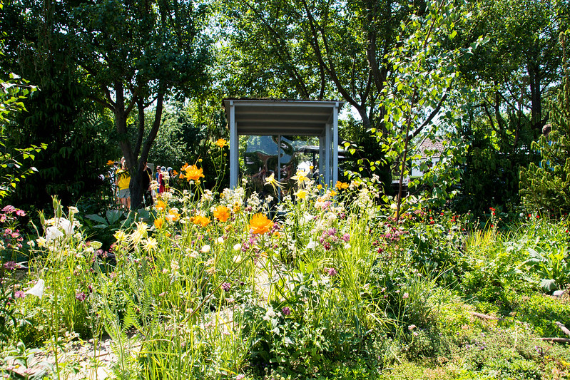 urban sensory garden